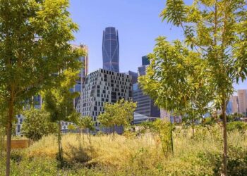 إطلاق مبادرة لنثر 100 مليون بذرة ضمن البرنامج الوطني للتشجير